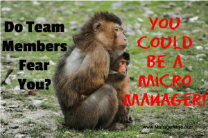 Micro-Manager Definition of Delegate