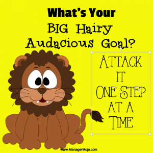 BHAG - Big Hairy Audacious Goal