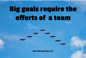 Big Goals