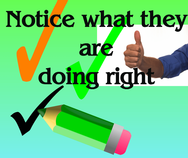 Notice What They are Doing Right