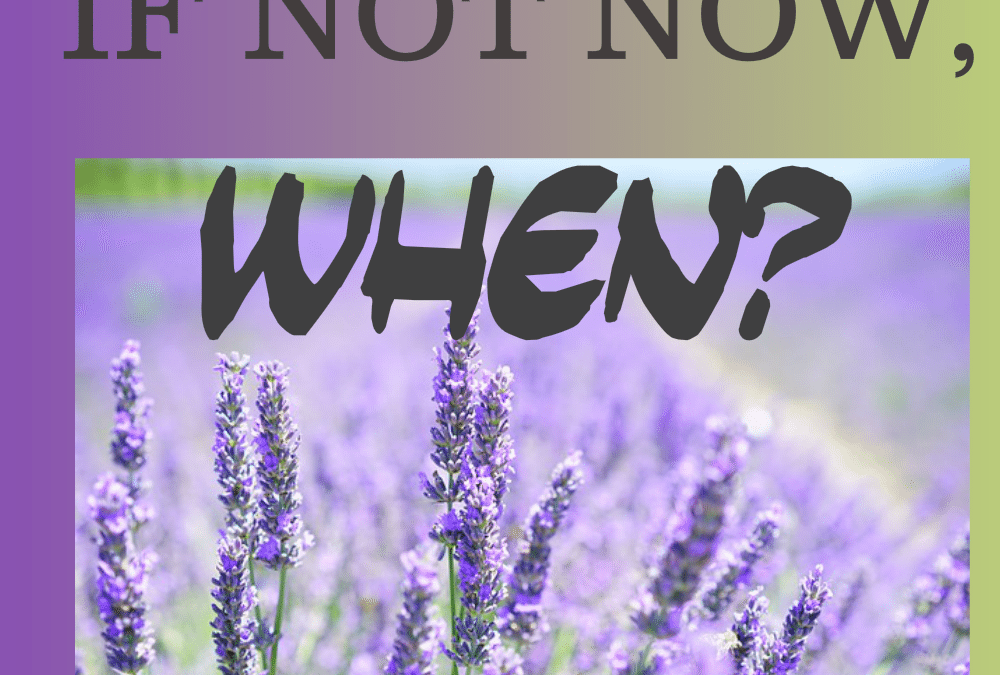 If Not Now, When?