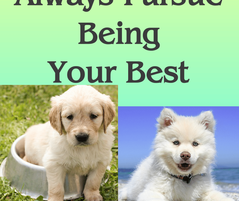 Always Pursue Being Your Best