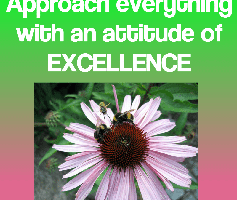 Approach Everything With an Attitude of Excellence