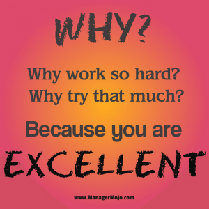 Because You Are Excellent
