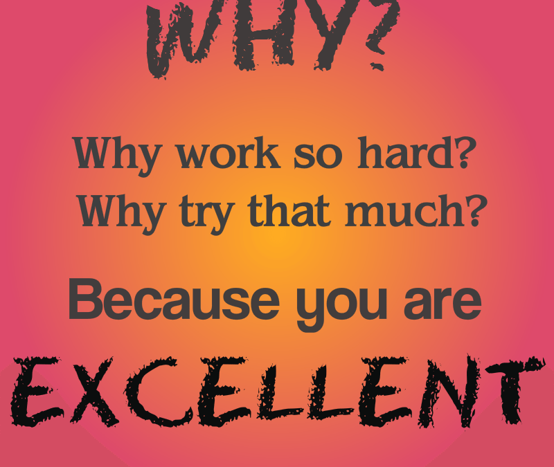 Because You Are Excellent