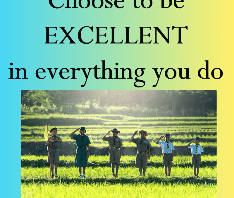 Choose to Be Excellent